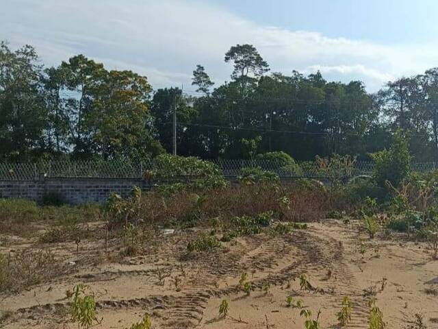 #026 - Terreno para Venda em Manaus - AM - 3